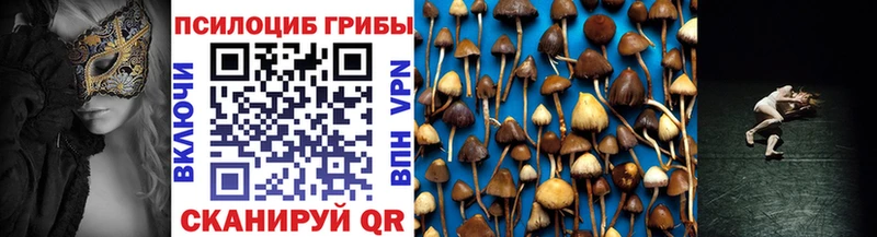 где купить наркоту Усмань Галлюциногенные грибы мицелий